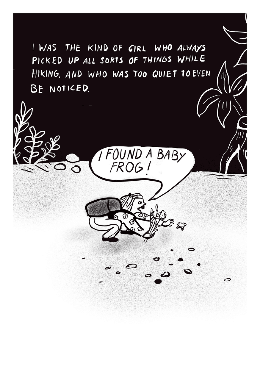 The Secret of Erdmannlistein